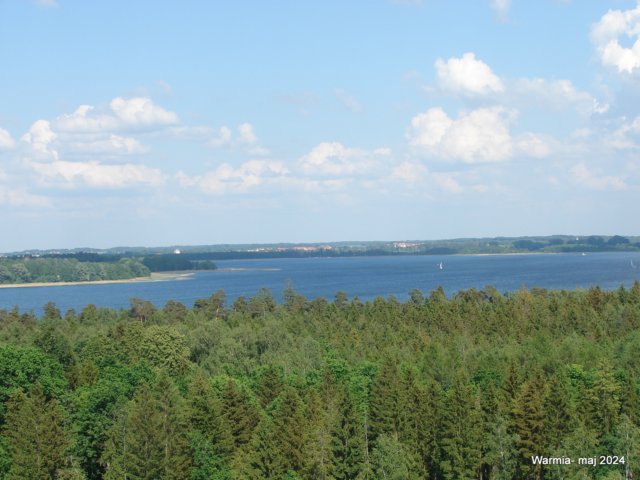dsc00520.jpg