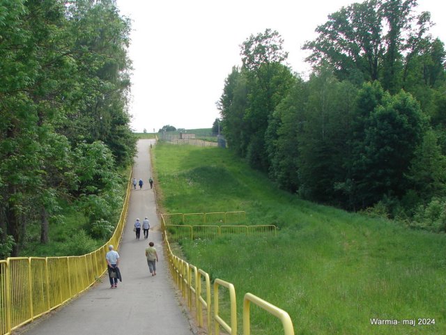 dsc00610.jpg