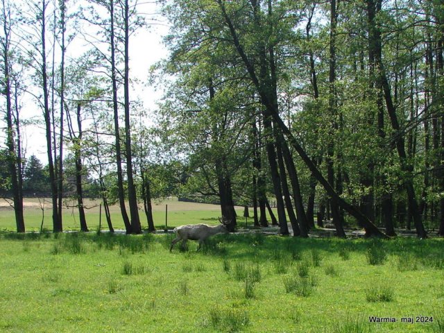 dsc00662.jpg