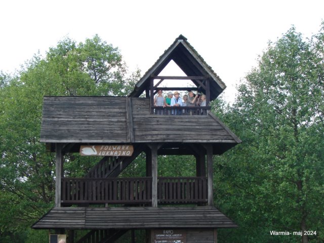 dsc00678.jpg